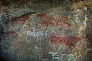 Bushman Paintings in Cave