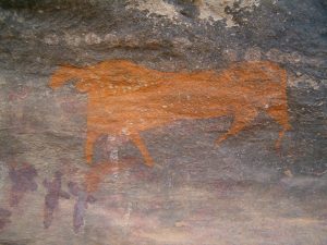 Bushman Paintings