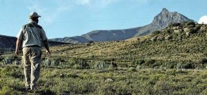 Karoo Fossil Tours Ganora Guest Farm